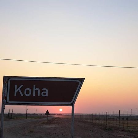 מריינטל Koha Guesthouse מראה חיצוני תמונה