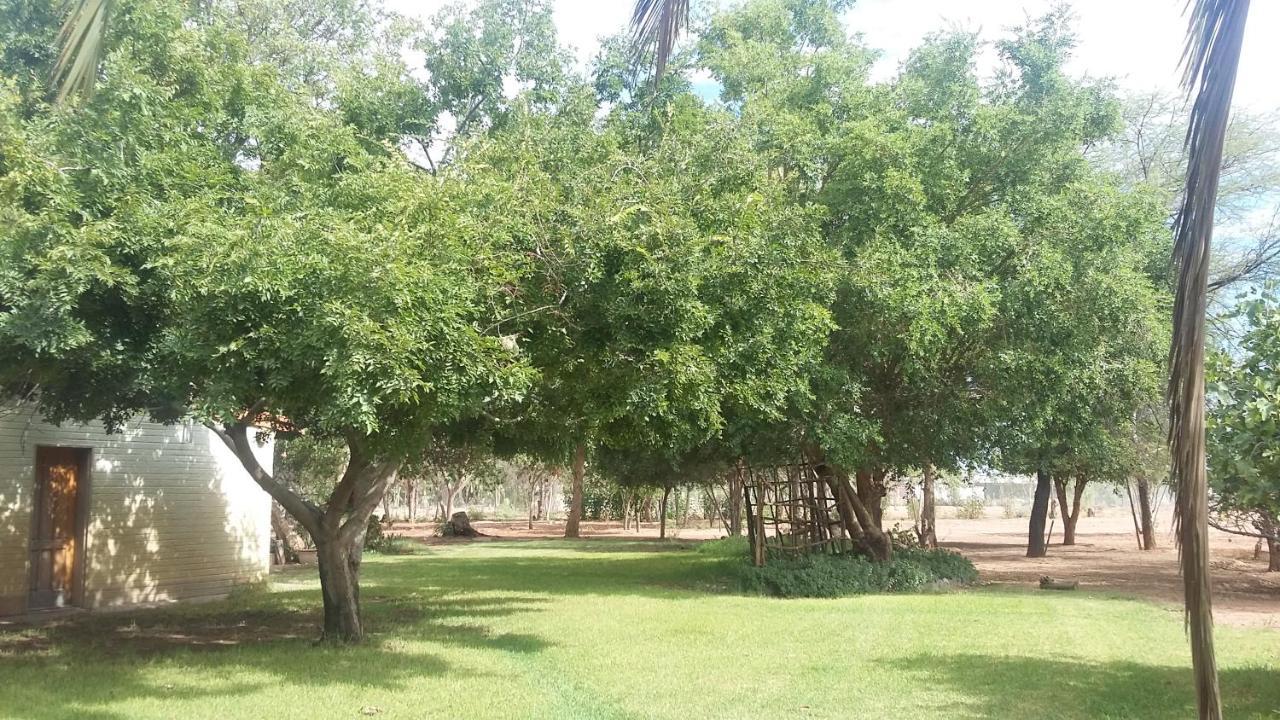 מריינטל Koha Guesthouse מראה חיצוני תמונה